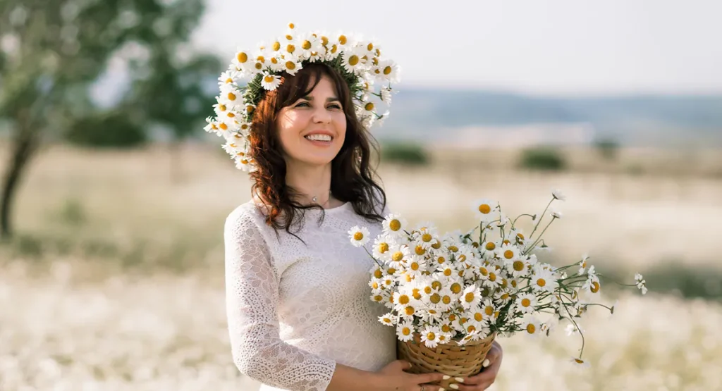 Daisy flower meaning goes far beyond its gentle appearance