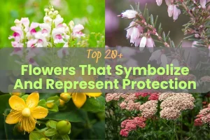 Top 20+ Flowers That Symbolize And Represent Protection