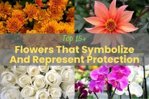 Top 15+ Flowers That Symbolize Remembrance