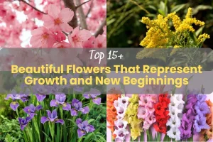 15+ Beautiful Flowers That Represent Growth and New Beginnings