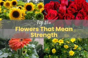 Top 15+ Flowers That Mean Strength: Beautiful Your Garden