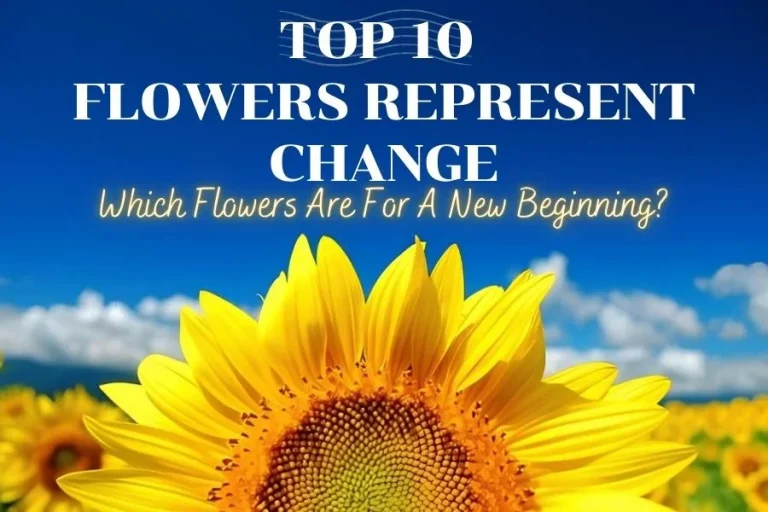 10+ flowers that represent change_ Which flowers are for a new beginning_