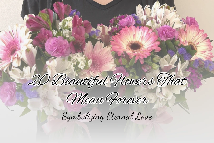 20 Beautiful Flowers That Mean Forever Symbolizing Eternal Love