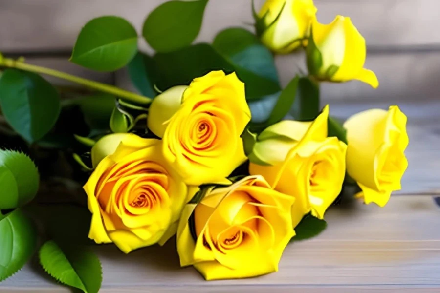 Yellow Rose