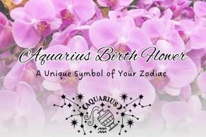 Aquarius Birth Flower A Unique Symbol of Your Zodiac