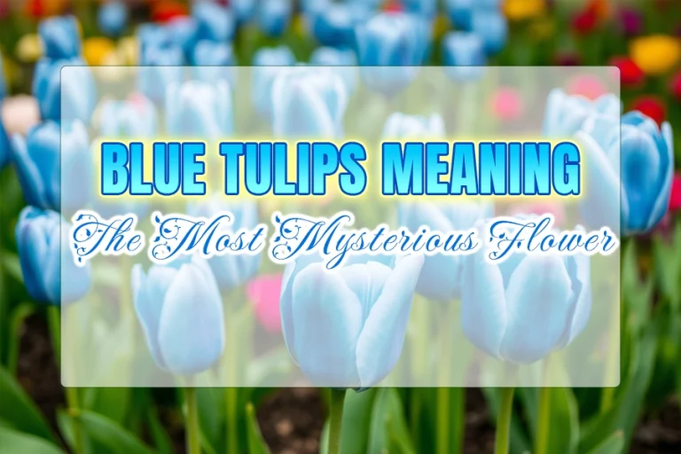 Blue Tulips Meaning: The Most Mysterious Flower