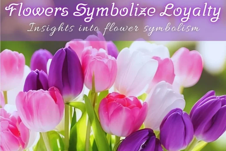 Flowers that symbolize loyalty_ Insights into flower symbolism