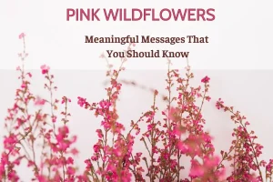 Pink wildflowers bring many meaningful messages