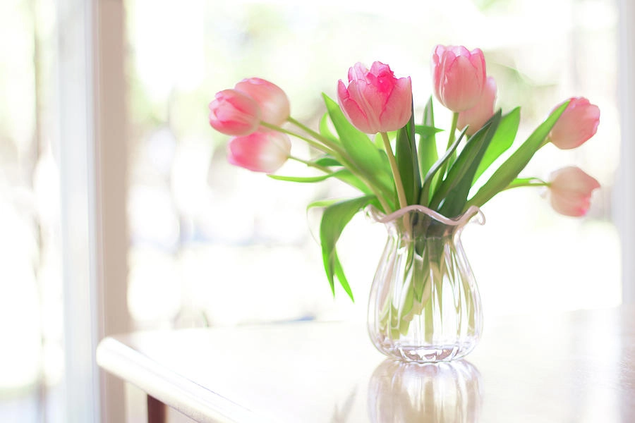 Pink-colored tulips are chosen to decorate sweet parties