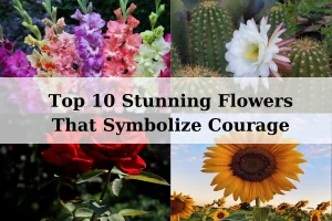 Top 10 Stunning Flowers That Symbolize Courage