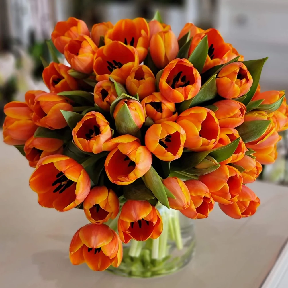 Tulips in orange can be given to anyone on any occasion