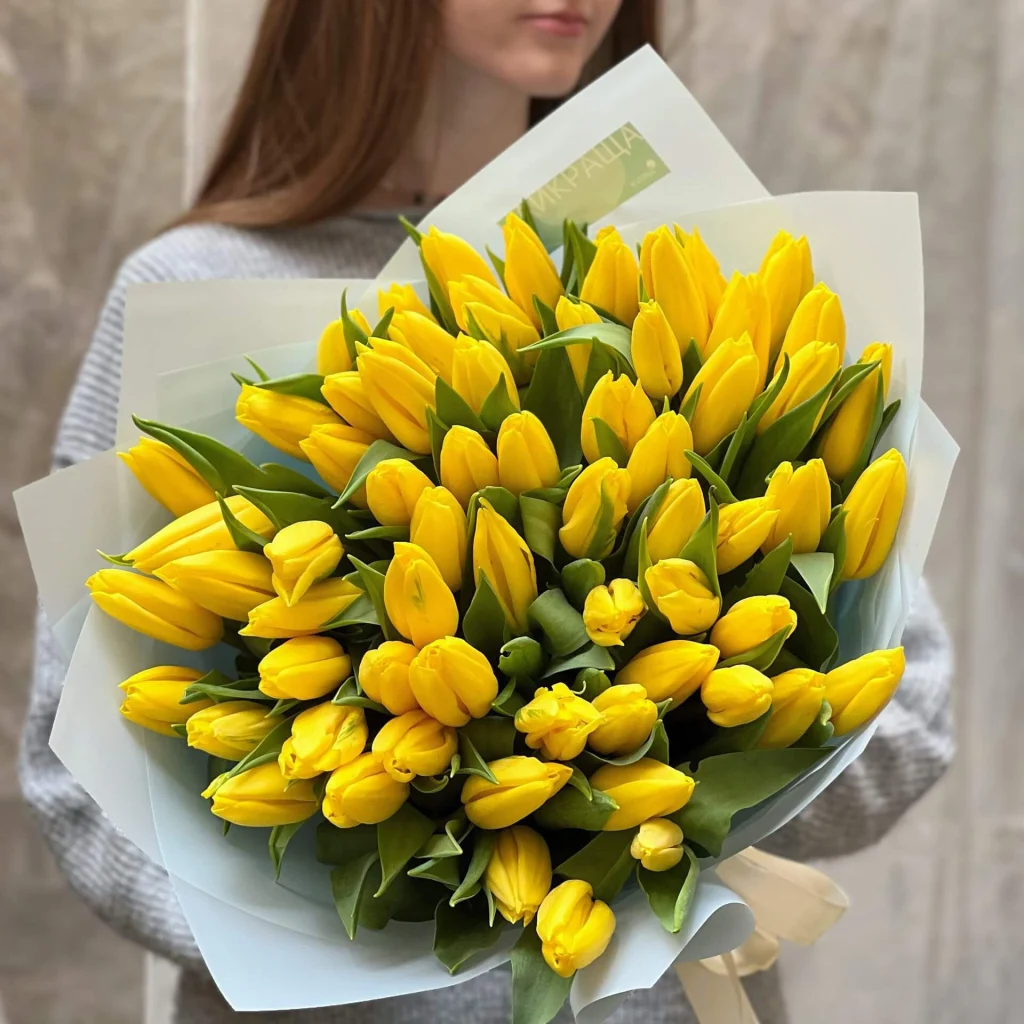 Tulip in yellow color are loved by many people