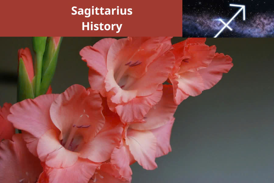 The characteristics of Sagittarius
