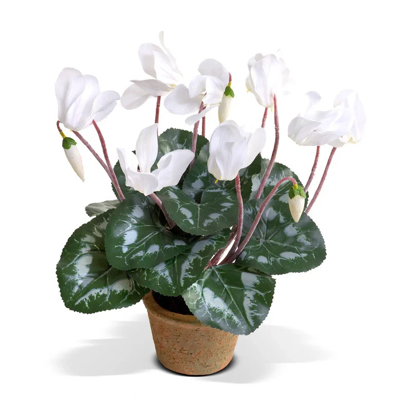 Floristrywarehouse Faux Silk White Cyclamen Bush in Pot