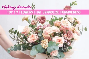 Making Amends: Top 17 Flowers That Symbolize Forgiveness