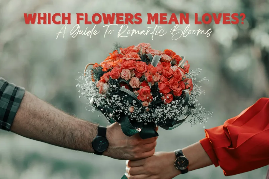 Which Flowers Mean Love? Best Guide To Romantic Blooms