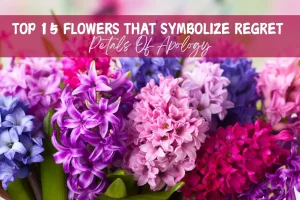 Top 15 Flowers That Symbolize Regret: Petals Of Apology