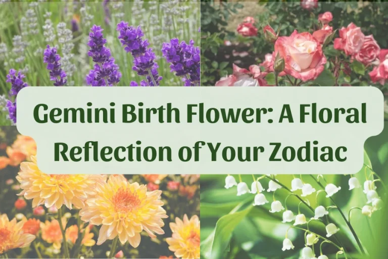 Gemini Birth Flower: A Floral Reflection of Your Zodiac