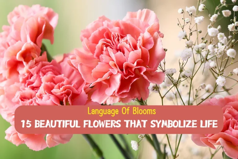 Language Of Blooms: 15 Beautiful Flowers That Symbolize Life