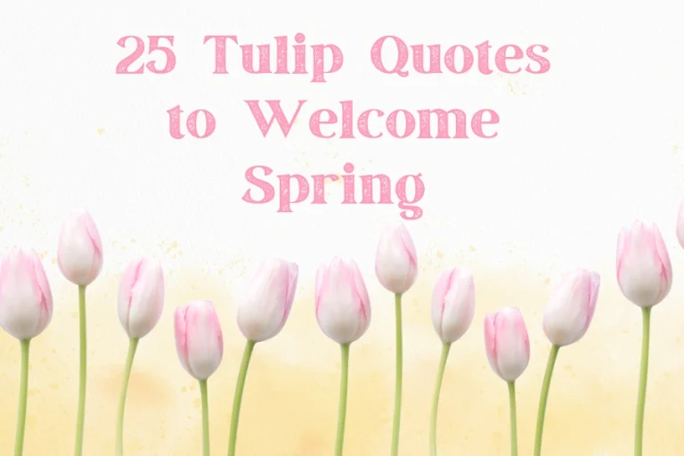 25 Tulip Quotes to Welcome Spring Wisdom and Beauty in Bloom