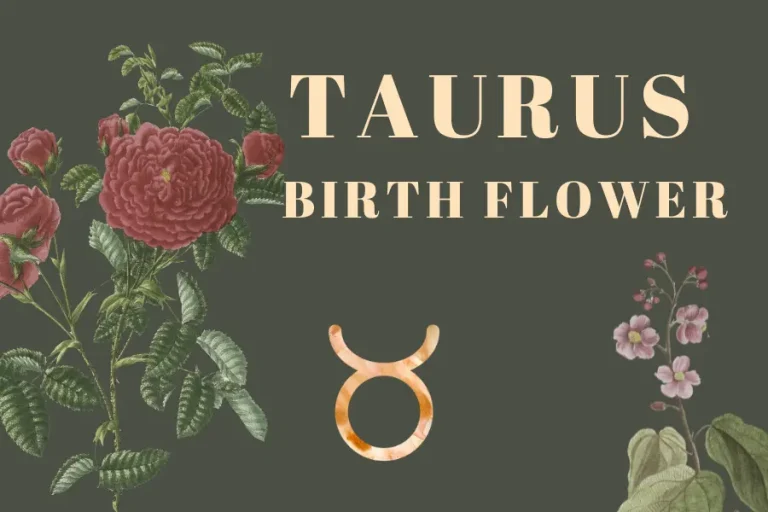 Taurus Birth Flower: A Bloom of Grace and Stability