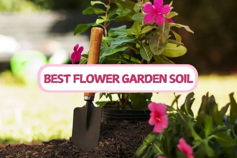 10 Best Flower Garden Soil Choices To Transform Your Yard