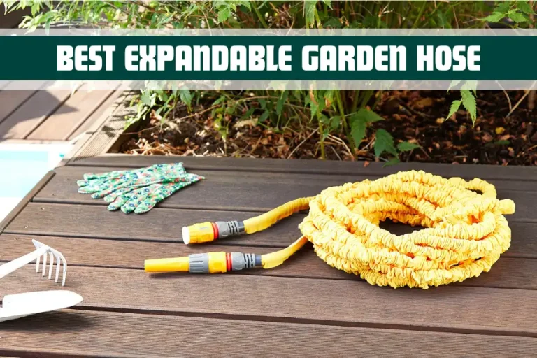 Best Expandable Garden Hose Every Gardener Needs