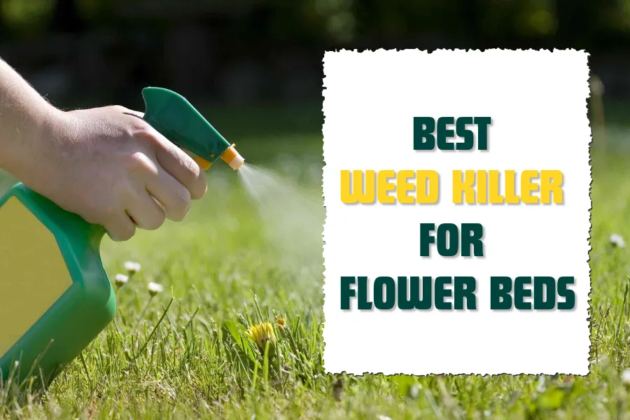 Best Weed Killer For Flower Beds To Safeguard Your Garden