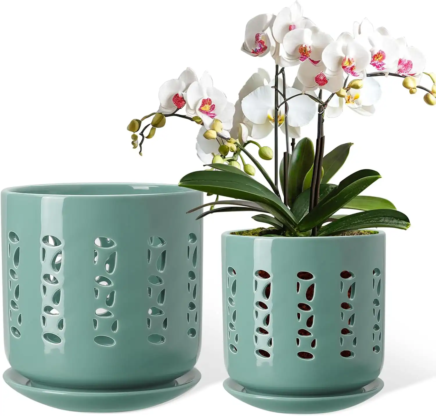 Ceramic Orchid Planter with Holes & Tray