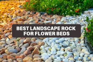 Expert Guide To The Best Landscape Rock For Flower Beds