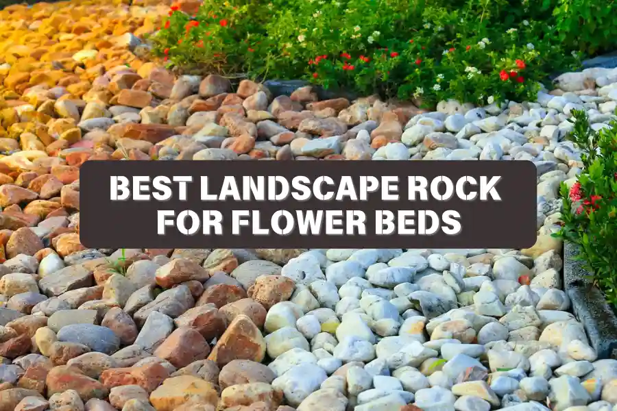 Expert Guide To The Best Landscape Rock For Flower Beds