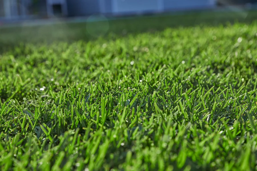 Grass type is one of the most important factors to consider when choosing a liquid fertiliser