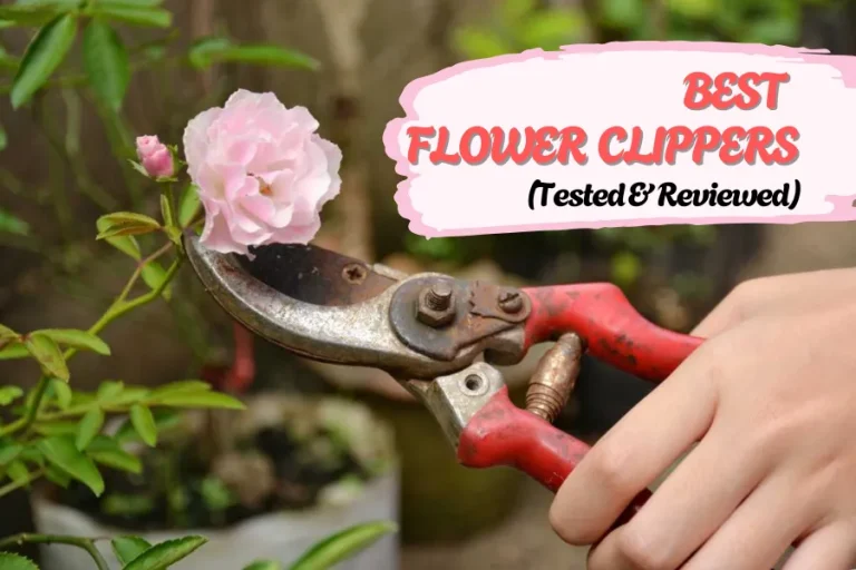 The 6 Best Flower Clippers - Tested & Reviewed