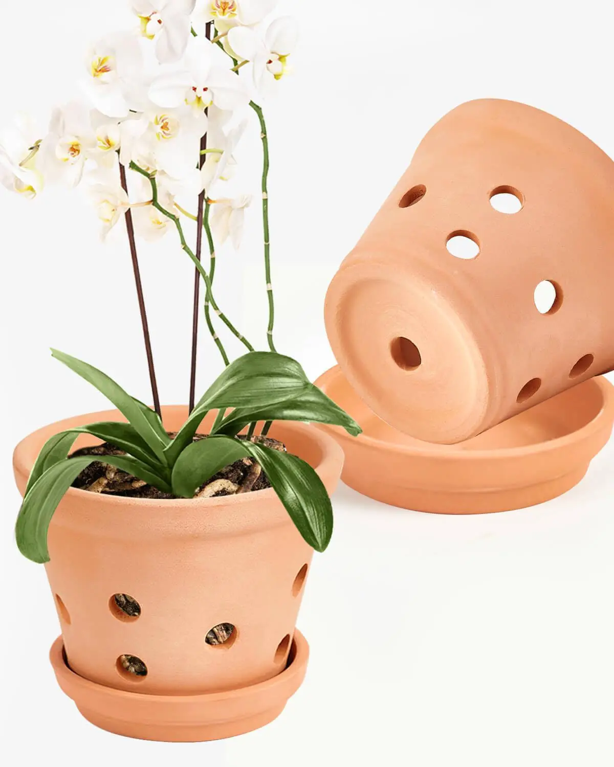 Vensovo Terracotta Orchid Pots with Saucers